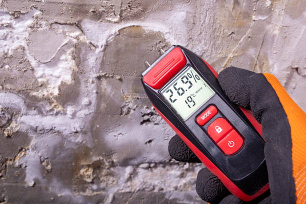 Best Localized Mold Remediation (e.g., coastal areas, humid climates) in Webb City, MO